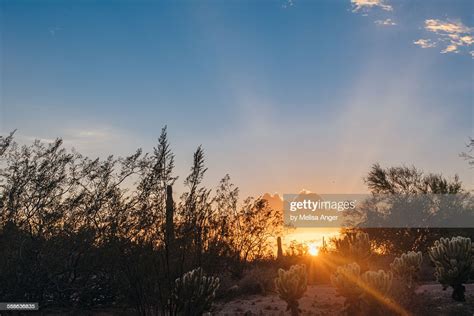 Desert Sunset High Res Stock Photo Getty Images