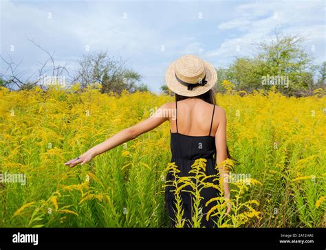 Girl With Long Dark Hair In A Hat Among Yellow Flowers Back View Of A