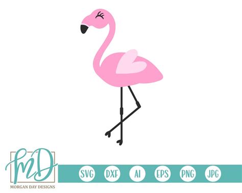 Flamingo Svg Summer Svg Pink Flamingo Svg Flamingo Party Etsy