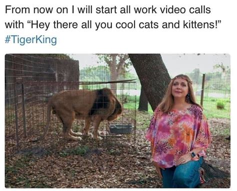 Best Tiger King Memes Cool Cats King Meme Scary Mommy