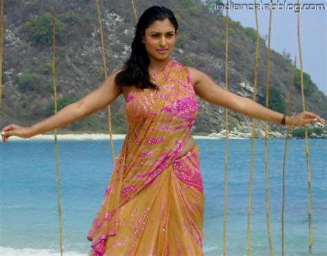 Malavika Tamil Actress Rlm Hot Stills Indiancelebblog Com