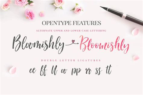 Bloomishly Brush Font Stunning Script Fonts Creative Market