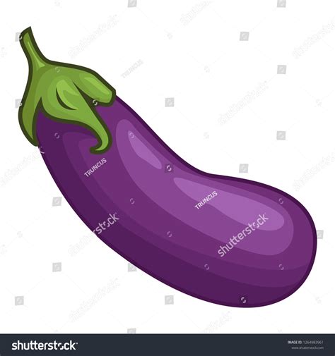 Stock Vector Eggplant Graphic Object Illustration Stock Vector Royalty