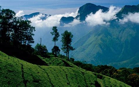 From Madurai To Ooty 8 Reasons To Visit Tranquil Tamil Nadu Travel