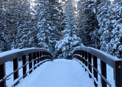 Snowy Bridge In Bebo Grove Photograph By Kim Toller Fine Art America