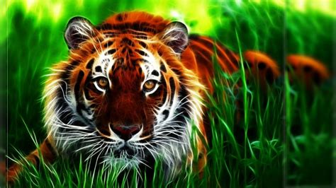 Top Tiger Wallpaper Hd