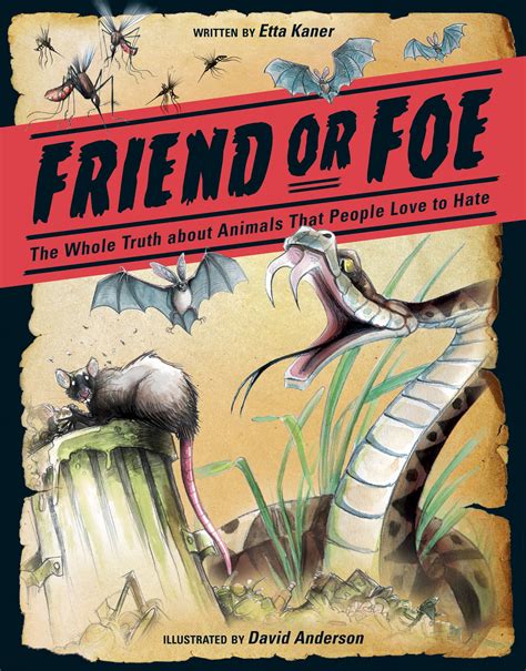 Friend Or Foe Owlkids