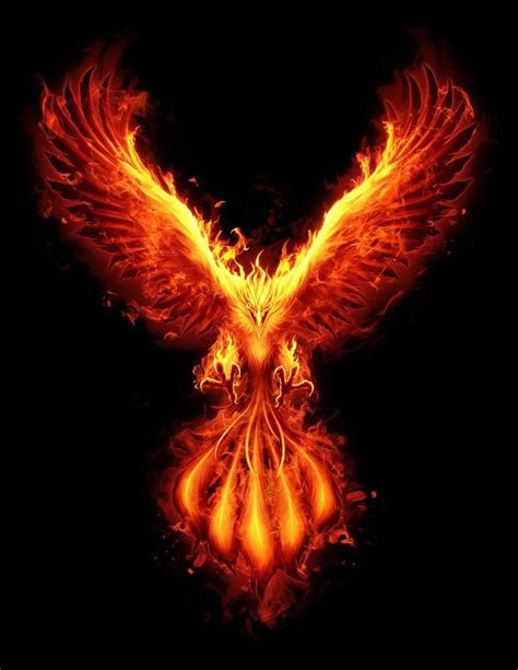 Burning Phoenix Phoenix Bird Art Phoenix Tattoo Phoenix Artwork