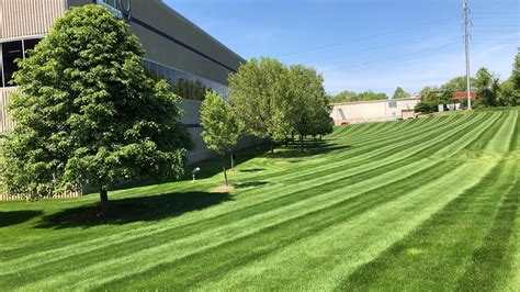 Commercial Lawn Maintenance Company Todds Services