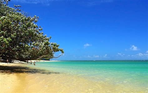 Anini Beach My Favorite Beach Vacation Spots Kauai Favorite Places