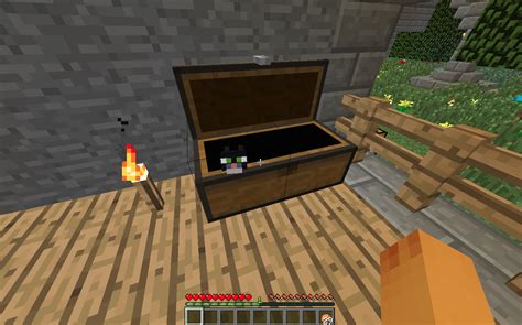 Looked all over my minecraft base, couldn't find my cat, but then