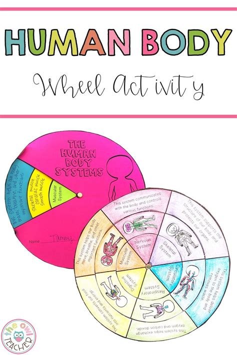 The Human Body Wheel Activity Is Shown With Text On It And An Image Of