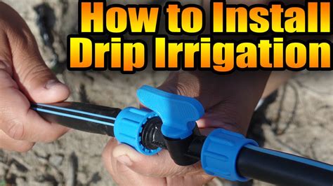 How To Set Up Drip Irrigation YouTube