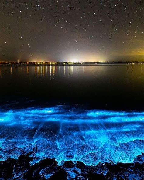 A Beautiful Capture Of The Bioluminescence Captured In The Maldives