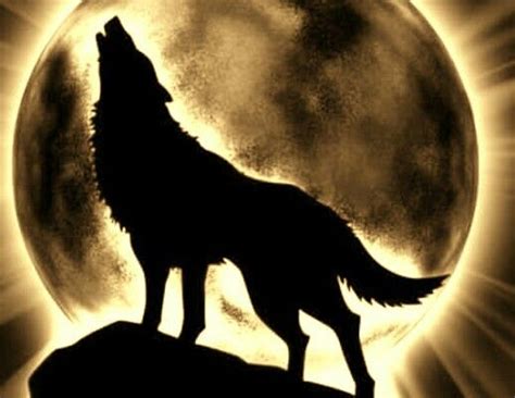 Pin By Thalia On Hijoslosamo Shadow Wolf Wolf Silhouette Wolf Photos