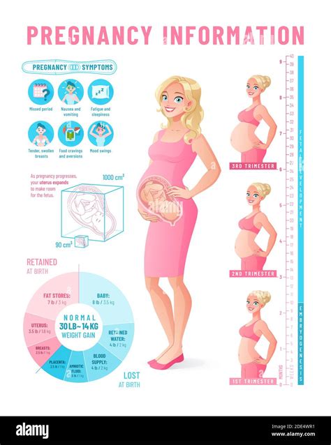 Pregnancy Infographic Healthy Pregnant Woman Vector Illustration Stock