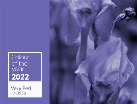 Colour Of The Year 2022 Clear Design North