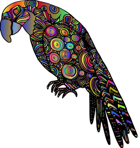 Explore 18 Free Rainbow Parrot Illustrations Download Now Pixabay