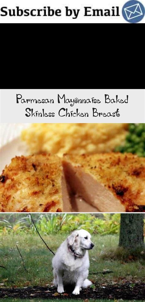 Every time i made them something seems off. "Ohmygoshthisissogood" Chicken Breast Recipe! - Melt In Your Mouth Miym Chicken Breasts Best ...