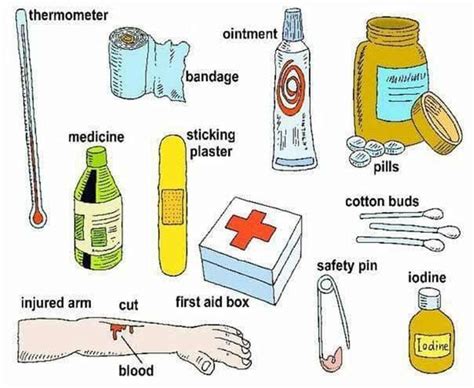 An Image Of Medical Items Labeled In English