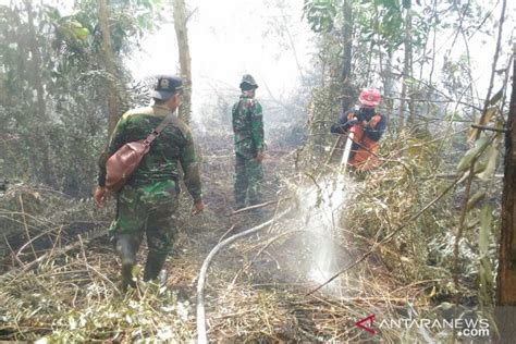 Kebakaran Hutan Di Riau Akibat Pembakaran Lahan Gambut Disengaja