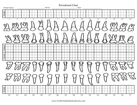 For other uses, see hypixel (disambiguation). Periodontal Chart Template Download Printable PDF ...
