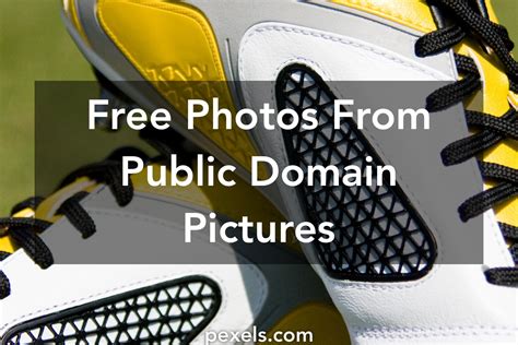 Public Domain Pictures · Photography