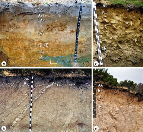 Examples Of Solumsubsolum Classification A A Silt Loam Soil