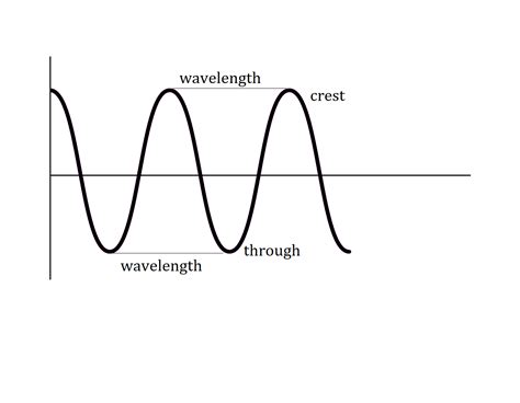 Diagram An Example Of Wavelength Quizlet