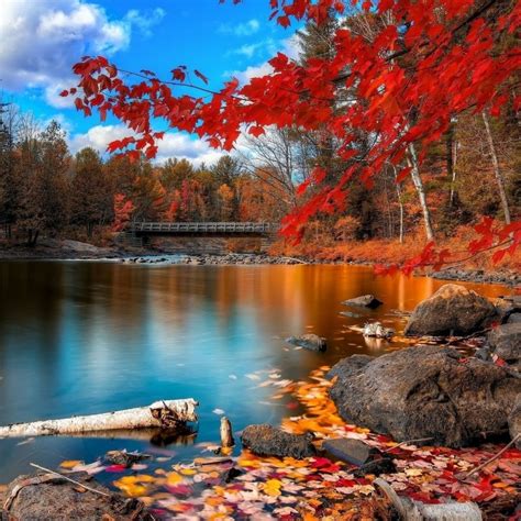 10 Best Autumn Scenery Wallpaper Hd Full Hd 1920×1080 For Pc Desktop 2021