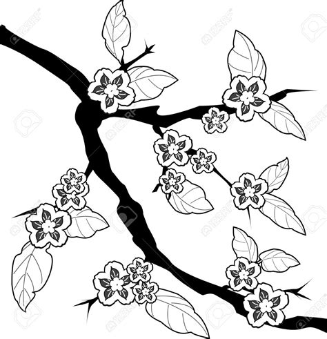 Cherry Blossom Tree Drawing At Getdrawings Free Download