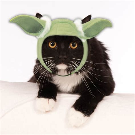 Star Wars Yoda Hood Cat Costume Baxterboo