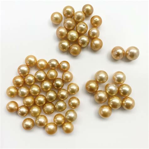Golden South Sea Pearls Loose Undrilled Button Shapes 14mm 15mm 16mm