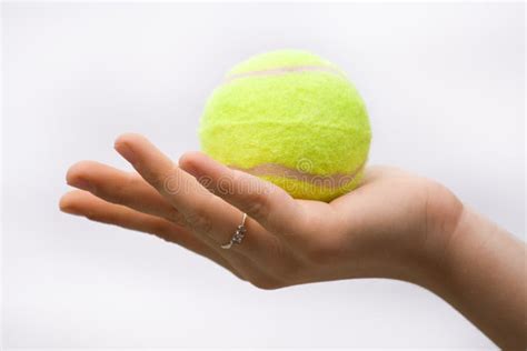 Hand Holding Tennis Ball Stock Images Image