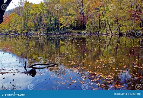 Water Reflections On A Still River In Fall Stock Photo Image Of
