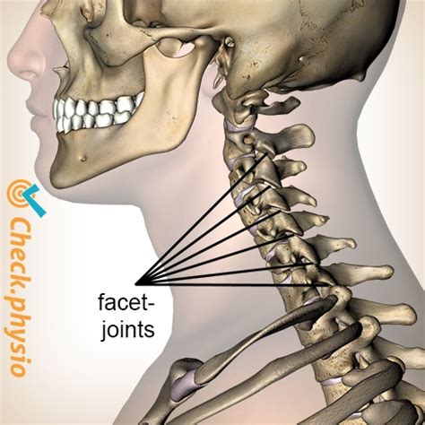 Cervical Facet Syndrome Treatment Captions Cute Today