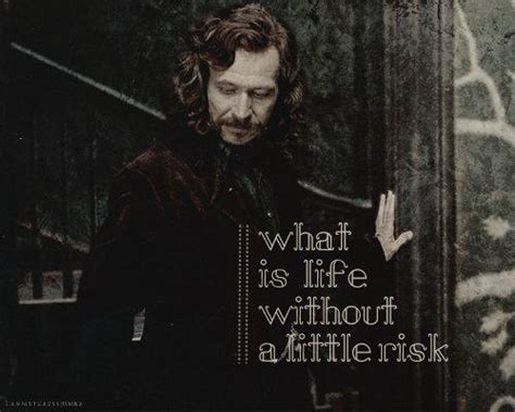 Sirius Black Quotes Harry Potter Funny Quotesgram