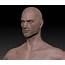 Male Adult Human Template Head Image  The Lays Of Althas Sundered