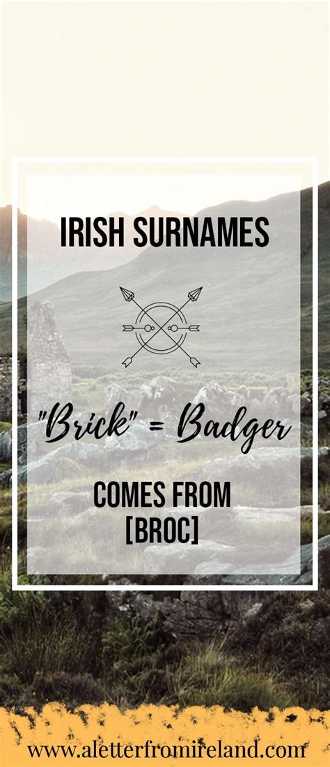 Have An Irish Ancestry Brickwall Heres A New Way To Look At It