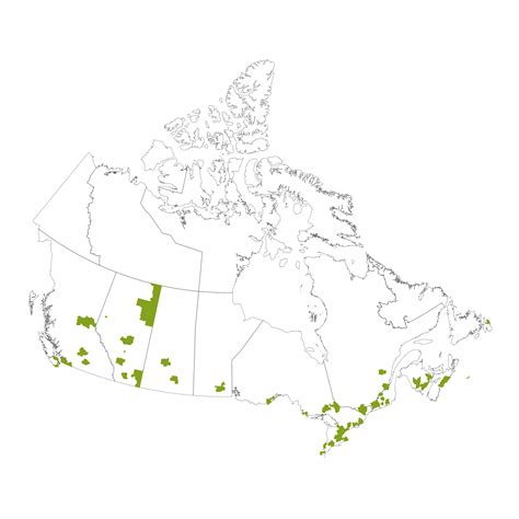 Amazon - The Canadian Data