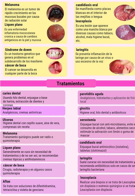 FASE 2 INFOGRAFIA SOBRE LOS PRINCIPALES COMPONENTES DE LA CAVIDAD ORAL