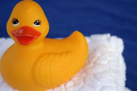 Sunday Marks National Rubber Ducky Day