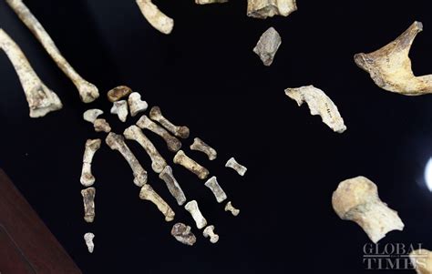 The Oldest Hominid Skeleton Ever Found Unveiled In The 10th Brics