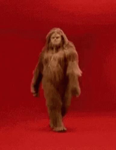 Walking Into My Wax Appoinment Hairy Gif Walking Into My Wax Appoinment Hairy Sassy
