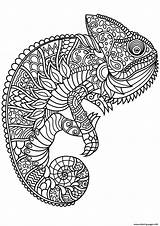 Mandala Animal Coloring Chameleon Pages Printable Print sketch template