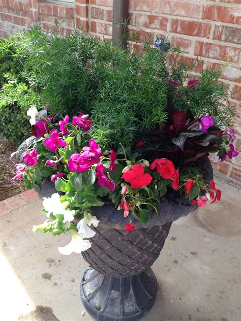 Annual Flowers For Pots In Shade How To Plant A Cool Pot Sunset