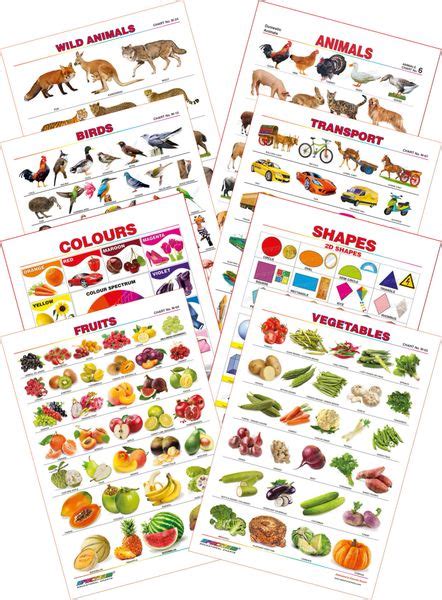 Spectrum Educational Mini Wall Chart Set Of 8 Set 4 Wild Animals