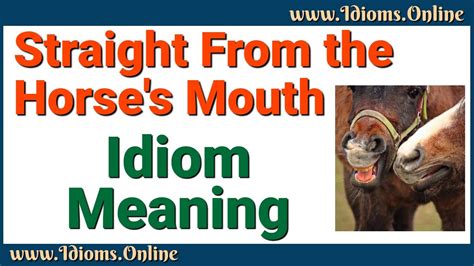 Straight From The Horses Mouth Idiom Meaning Youtube