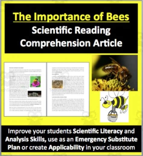The Importance Of Bees Reading Comprehension Article By Teach Simple