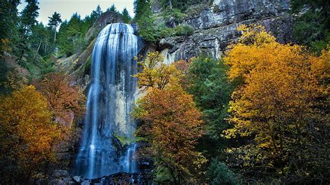 320x568px Free Download Hd Wallpaper Waterfall Landscape Trees